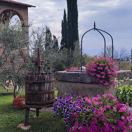 Agriturismo Il Pozzo Castiglione d'Orcia Exterior photo