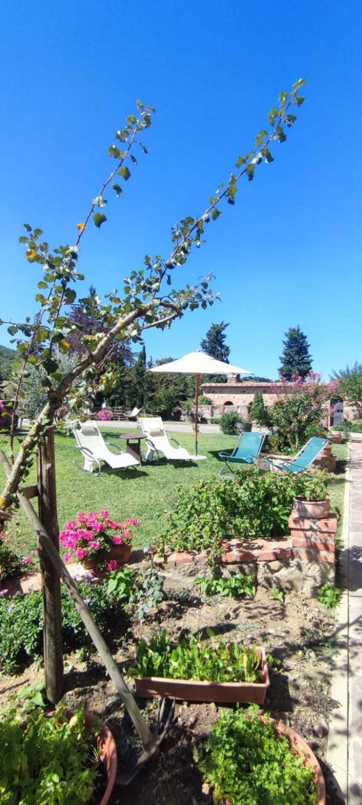 Agriturismo Il Pozzo Castiglione d'Orcia Exterior photo